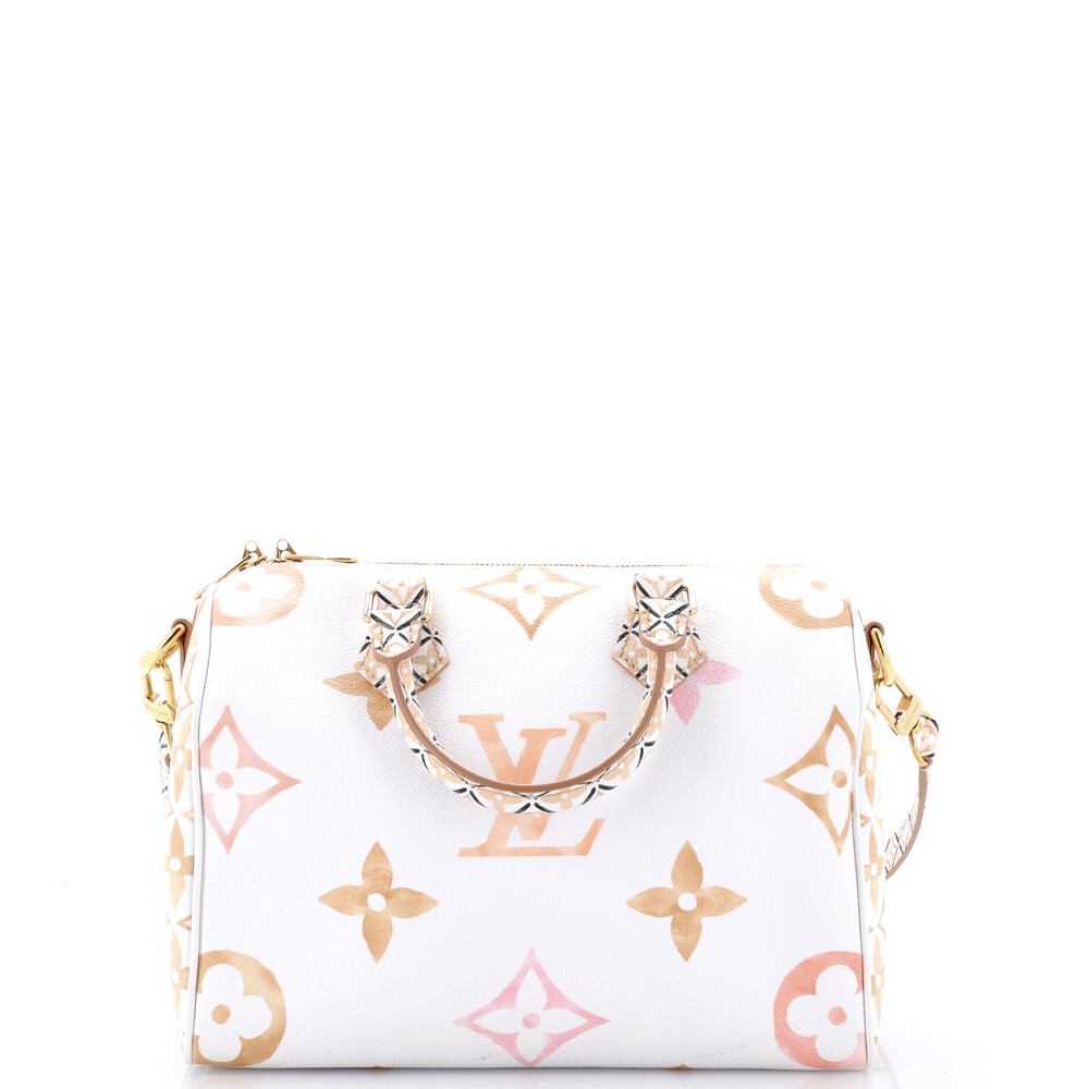 Louis Vuitton 25 Speedy Bandouliere Bag By The Pool Monogram Watercolor Giant
